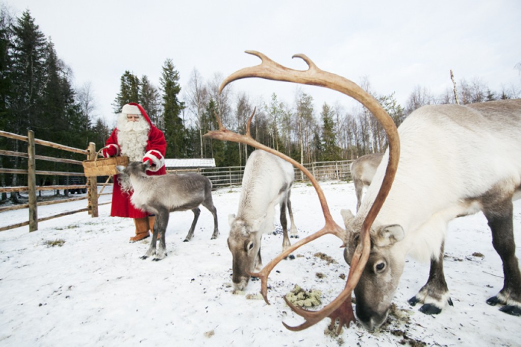 Père Noel nourrit ses animaux 