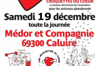Médor et compagnie, une animalerie au service du social